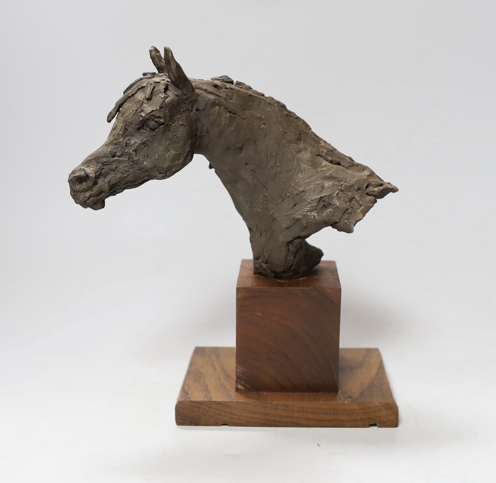 A resin horse head on wooden stand, 26cms high